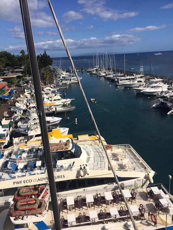 lahaina harbor